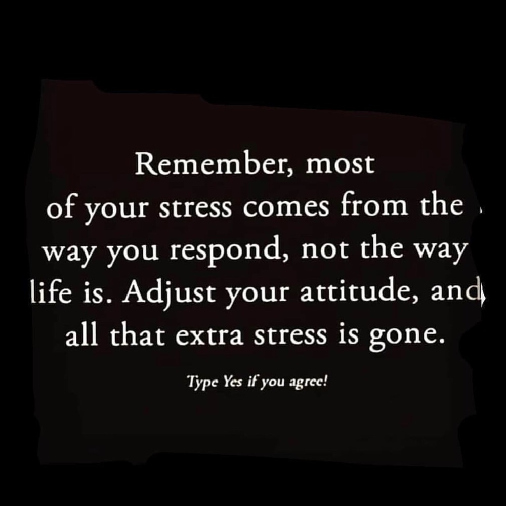🌱🌺No stress!! Just make an offer I say yes to!!